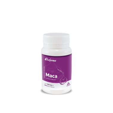 Maca 500mg 60 caps BIOFORMA